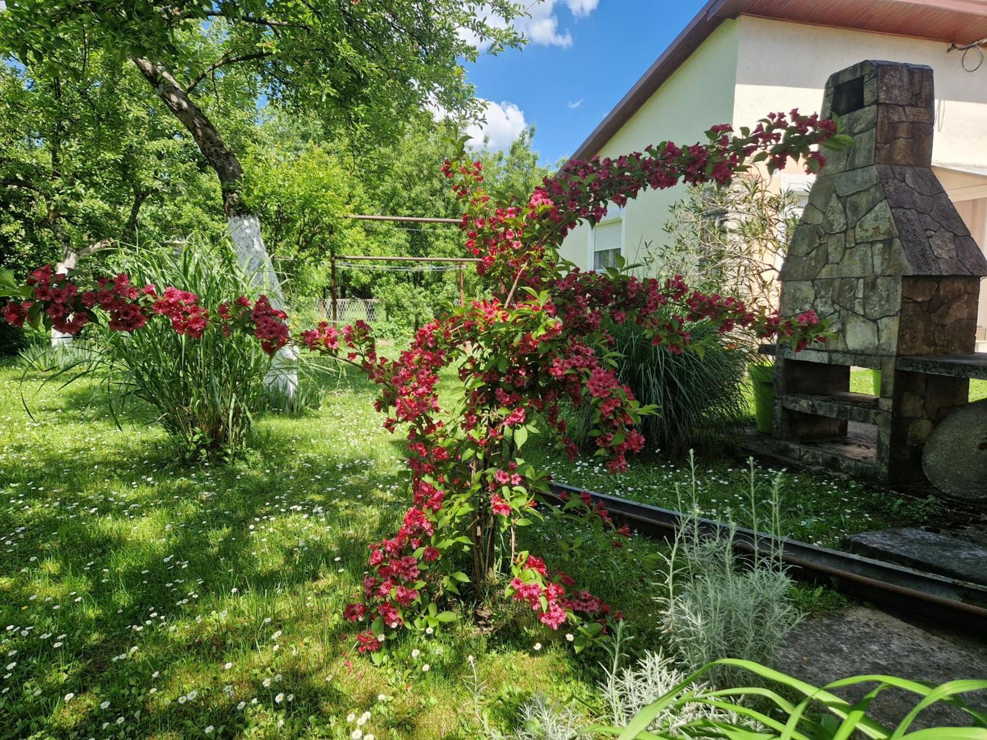 Studio Apartman Marica - Ogulin, Hrvatska Exterior photo